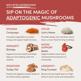 RYZE Mushroom Chai Starter Bag - 3A1H