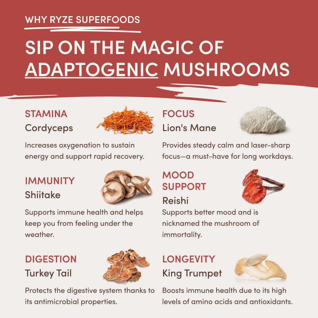 RYZE Mushroom Chai Starter Bag - 3A1H