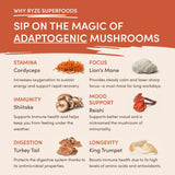 Mushroom Coffee (1 pack - 30 Servings) - CJEM