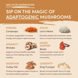 Mushroom Overnight Oats 14 Servings - 4R4F