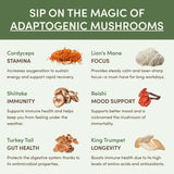 Mushroom Matcha Starter Kit (60 Servings) - 8KNB