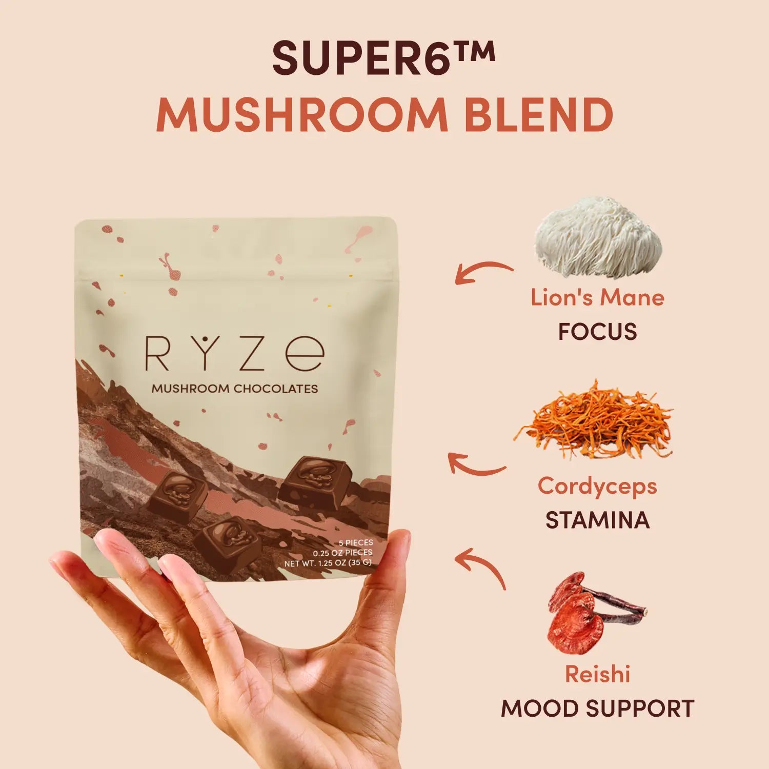 Mushroom Chocolates Rye (15 pieces) - UY13