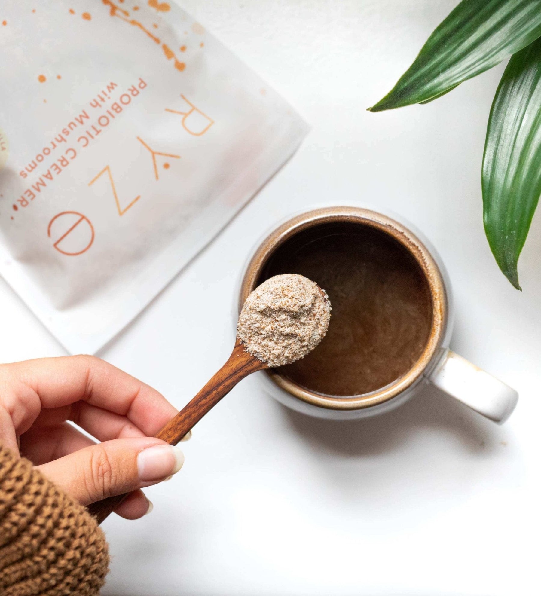 Probiotic Creamer (30 Servings) - 64U7