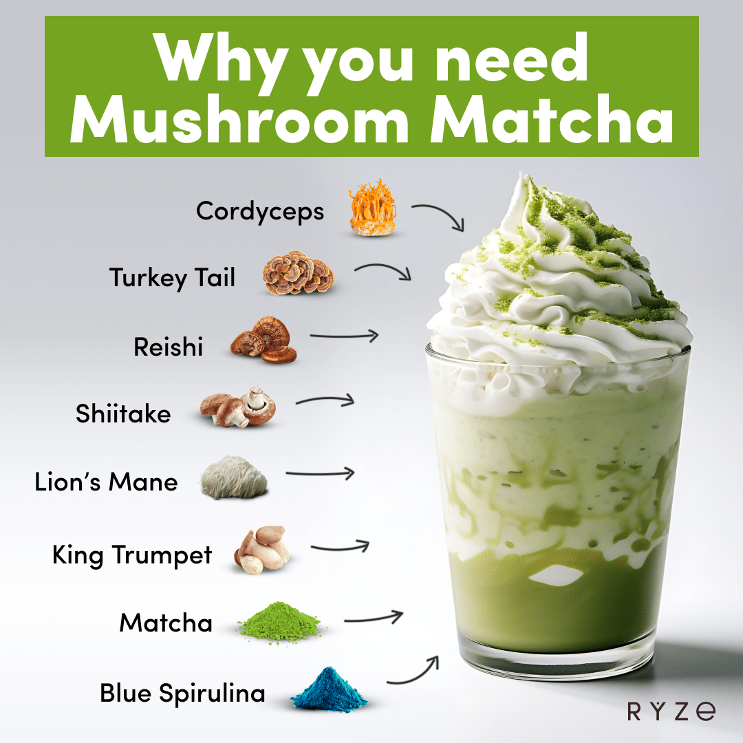 RYZE Mushroom Matcha - with 6 Organic Adaptogenic Mushrooms Grown In USA and Ceremonial-Grade Japanese Matcha - YGQ9