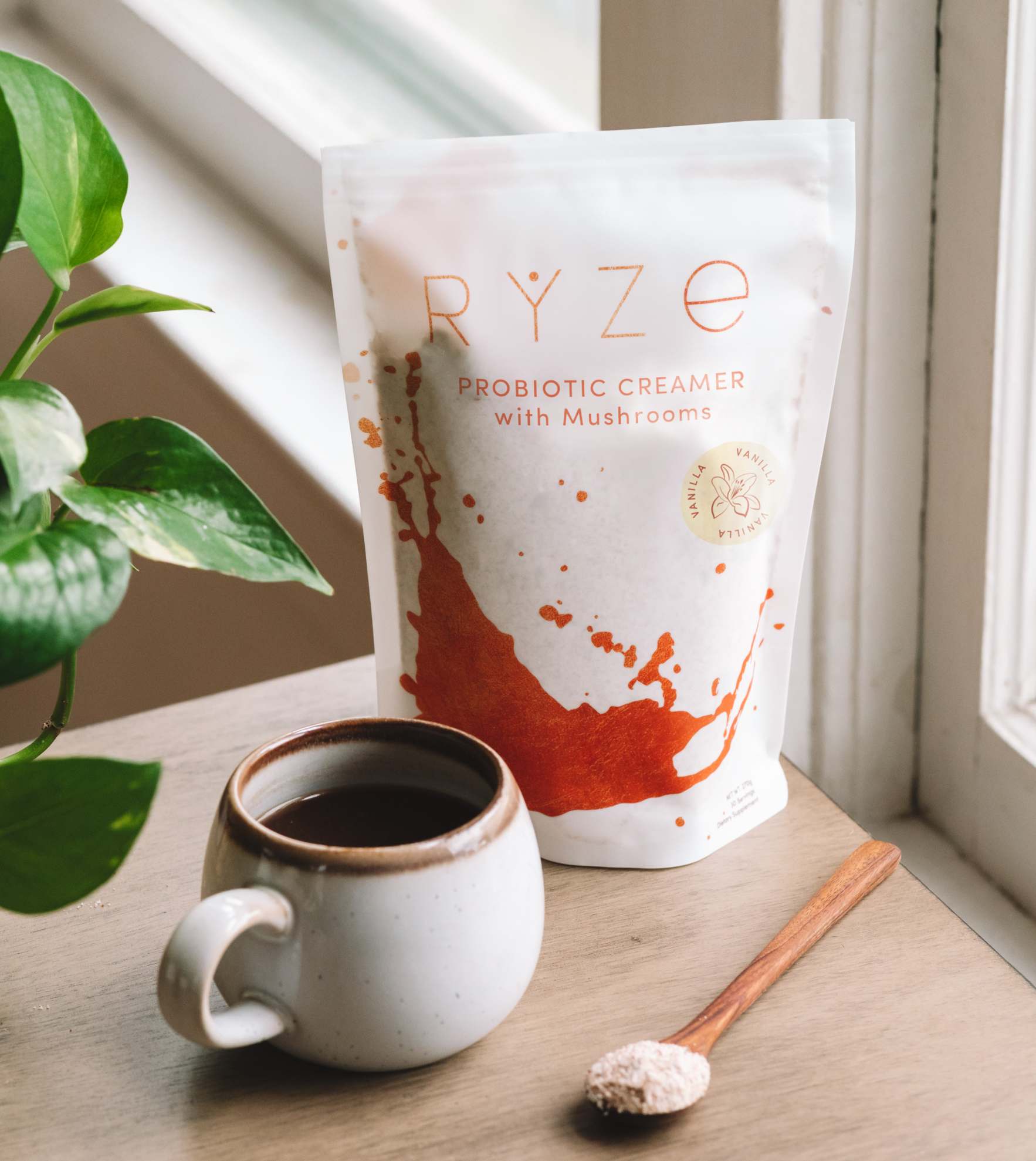 Try our Probiotic Creamer for 50% OFF! - L7UH